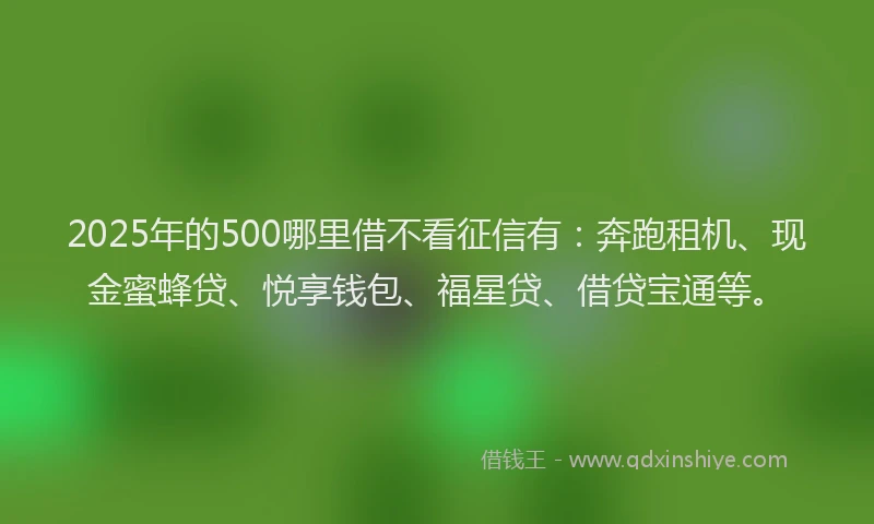 2025年的500哪里借不看征信有：奔跑租机、现金蜜蜂贷、悦享钱包、福星贷、借贷宝通等。