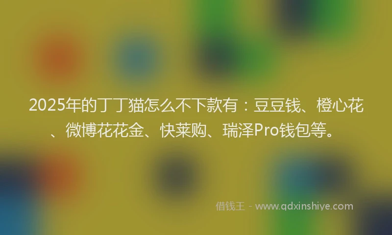 2025年的丁丁猫怎么不下款有：豆豆钱、橙心花、微博花花金、快莱购、瑞泽Pro钱包等。