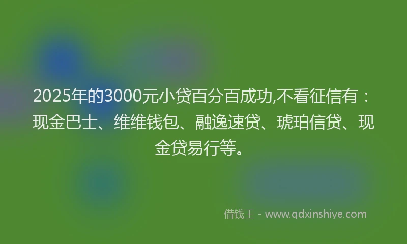 2025年的3000元小贷百分百成功,不看征信有：现金巴士、维维钱包、融逸速贷、琥珀信贷、现金贷易行等。