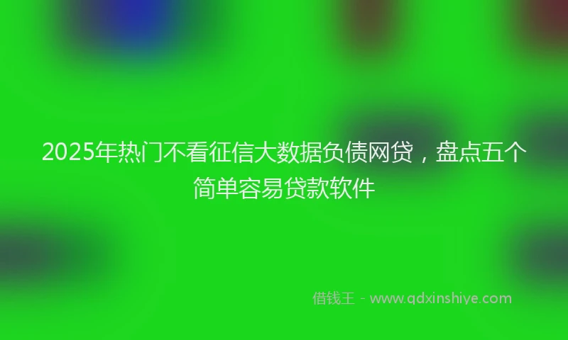 2025年热门不看征信大数据负债网贷，盘点五个简单容易贷款软件