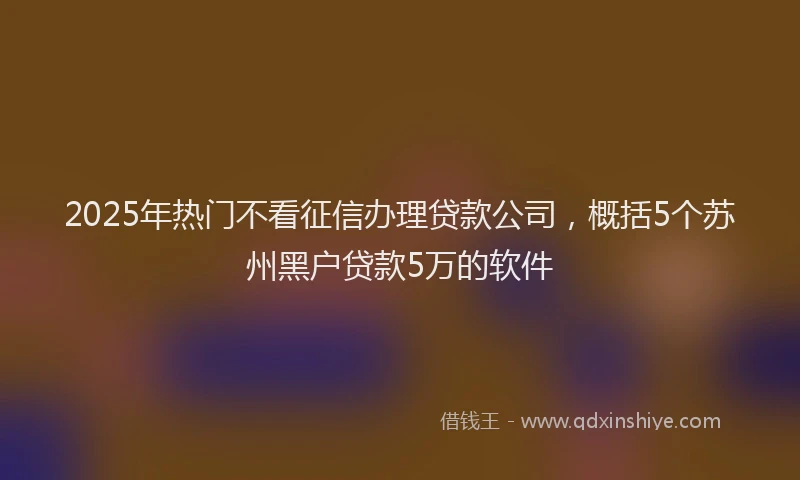 2025年热门不看征信办理贷款公司，概括5个苏州黑户贷款5万的软件