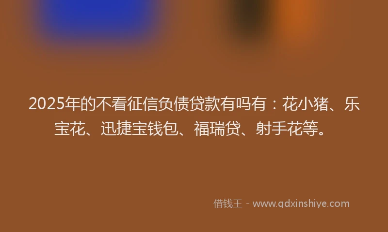 2025年的不看征信负债贷款有吗有：花小猪、乐宝花、迅捷宝钱包、福瑞贷、射手花等。
