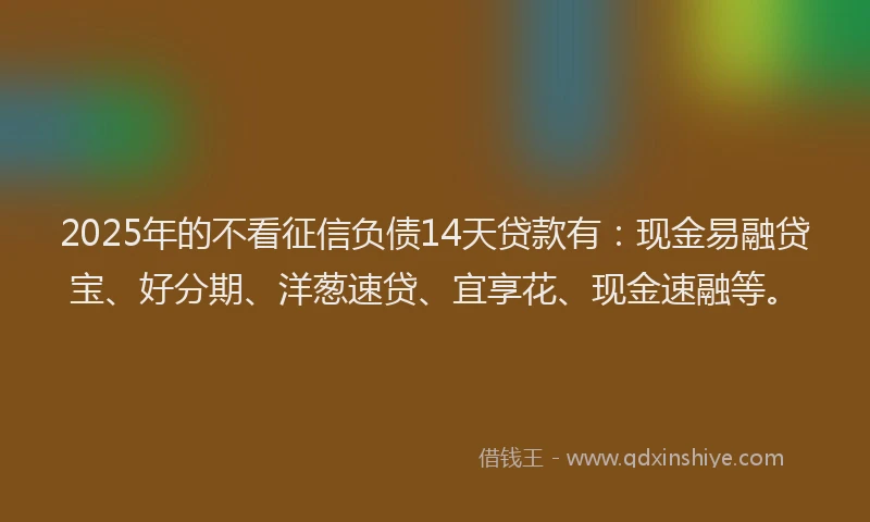 2025年的不看征信负债14天贷款有：现金易融贷宝、好分期、洋葱速贷、宜享花、现金速融等。