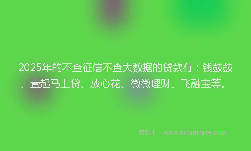2025年的不查征信不查大数据的贷款有：钱鼓鼓、壹起马上贷、放心花、微微理财、飞融宝等。