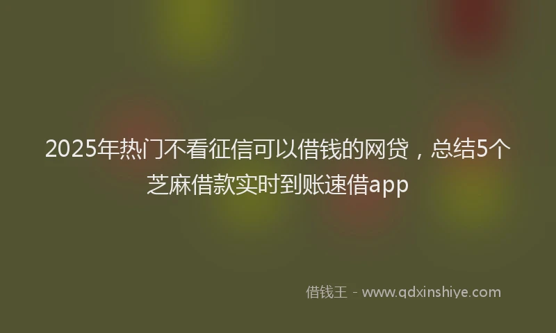 2025年热门不看征信可以借钱的网贷，总结5个芝麻借款实时到账速借app