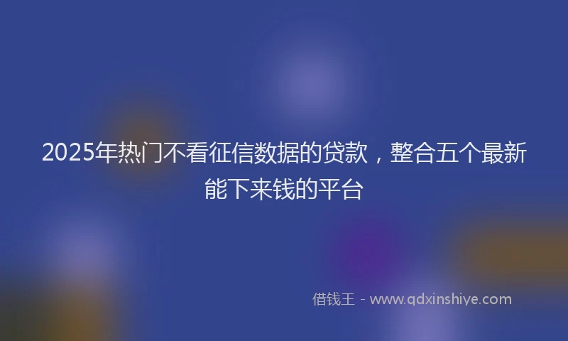 2025年热门不看征信数据的贷款，整合五个最新能下来钱的平台