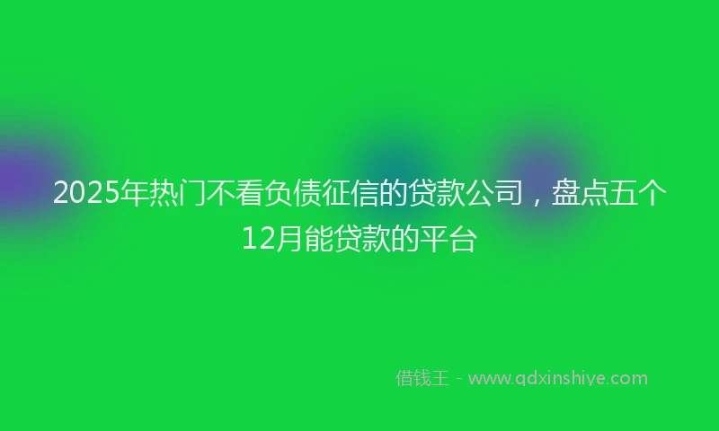 2025年热门不看负债征信的贷款公司，盘点五个12月能贷款的平台