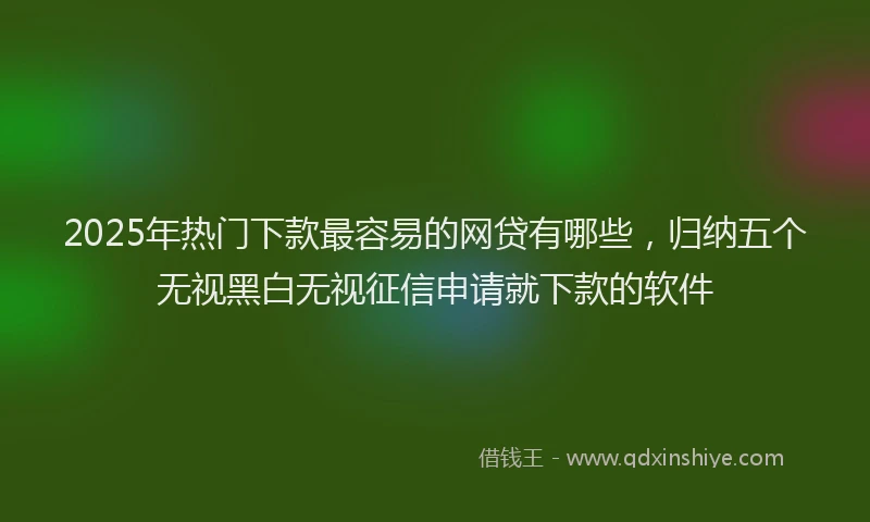 2025年热门下款最容易的网贷有哪些，归纳五个无视黑白无视征信申请就下款的软件