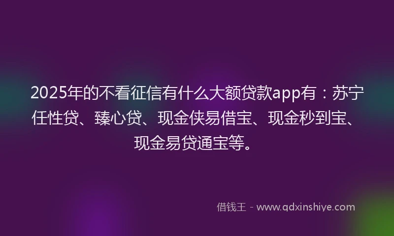 2025年的不看征信有什么大额贷款app有：苏宁任性贷、臻心贷、现金侠易借宝、现金秒到宝、现金易贷通宝等。