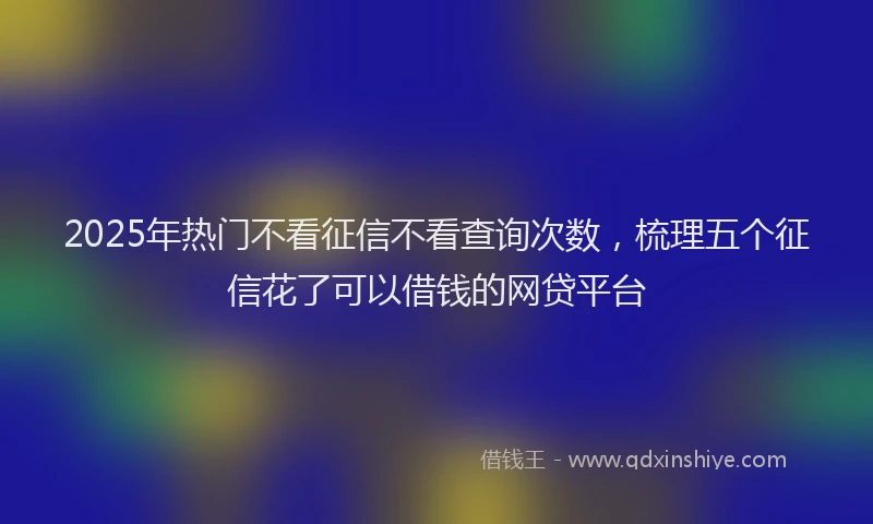 2025年热门不看征信不看查询次数，梳理五个征信花了可以借钱的网贷平台