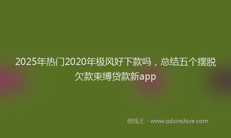 2025年热门2020年极风好下款吗，总结五个摆脱欠款束缚贷款新app