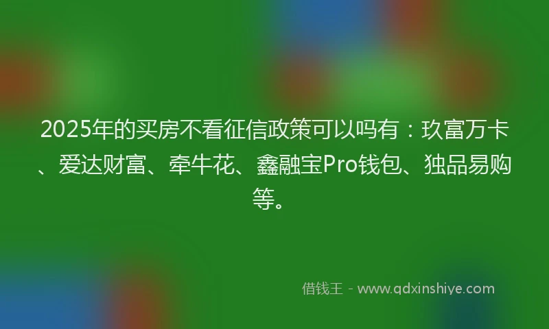 2025年的买房不看征信政策可以吗有：玖富万卡、爱达财富、牵牛花、鑫融宝Pro钱包、独品易购等。