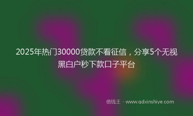 2025年热门30000贷款不看征信，分享5个无视黑白户秒下款口子平台