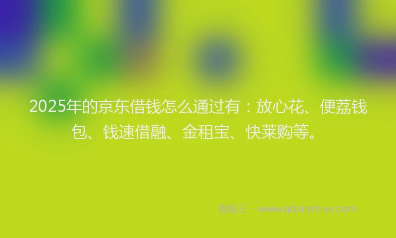2025年的京东借钱怎么通过有：放心花、便荔钱包、钱速借融、金租宝、快莱购等。