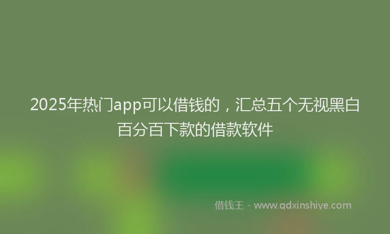 2025年热门app可以借钱的，汇总五个无视黑白百分百下款的借款软件