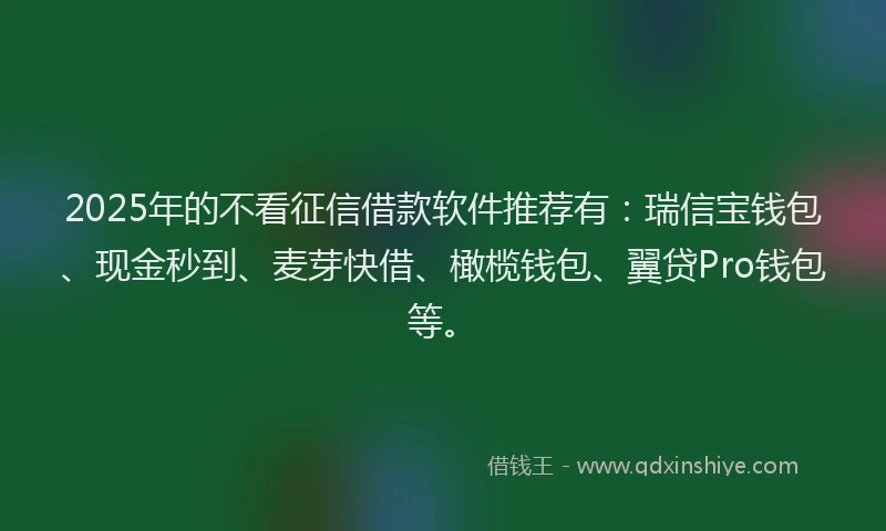 2025年的不看征信借款软件推荐有：瑞信宝钱包、现金秒到、麦芽快借、橄榄钱包、翼贷Pro钱包等。