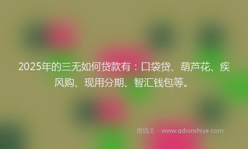 2025年的三无如何贷款有：口袋贷、葫芦花、疾风购、现用分期、智汇钱包等。