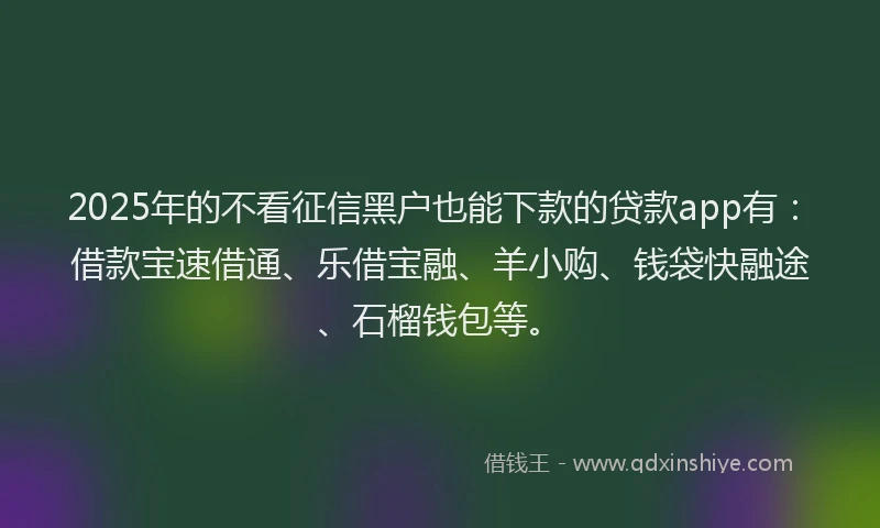 2025年的不看征信黑户也能下款的贷款app有：借款宝速借通、乐借宝融、羊小购、钱袋快融途、石榴钱包等。