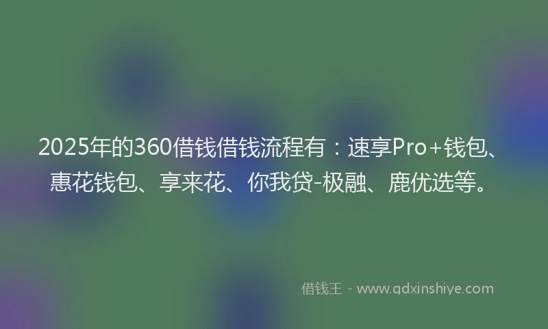 2025年的360借钱借钱流程有：速享Pro+钱包、惠花钱包、享来花、你我贷-极融、鹿优选等。