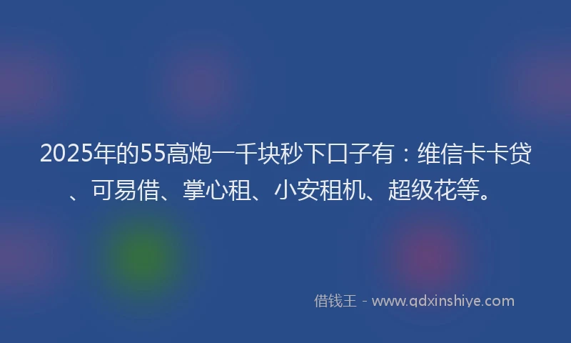 2025年的55高炮一千块秒下口子有：维信卡卡贷、可易借、掌心租、小安租机、超级花等。