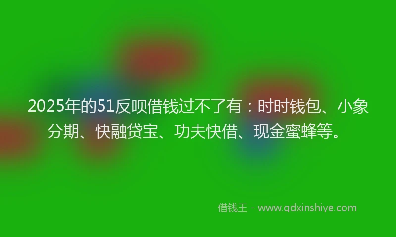 2025年的51反呗借钱过不了有：时时钱包、小象分期、快融贷宝、功夫快借、现金蜜蜂等。