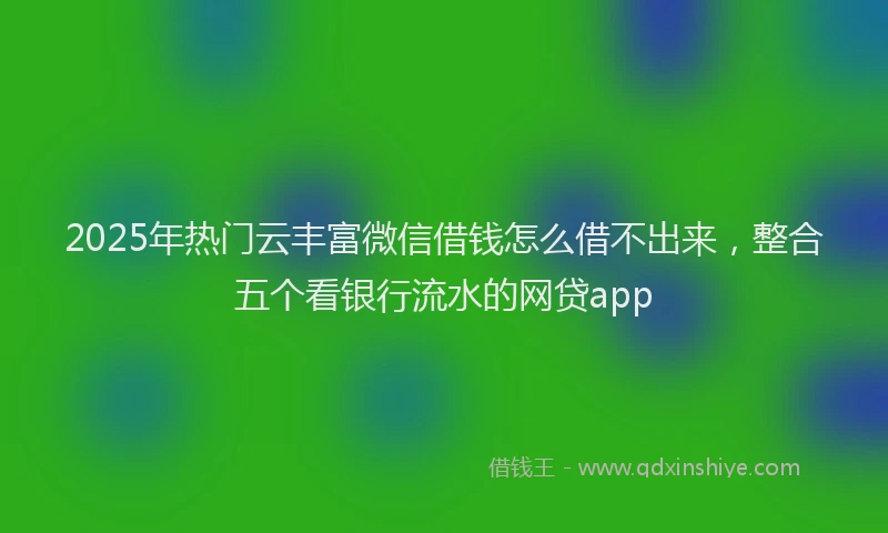 2025年热门云丰富微信借钱怎么借不出来，整合五个看银行流水的网贷app