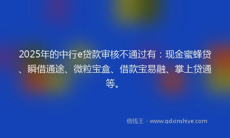 2025年的中行e贷款审核不通过有：现金蜜蜂贷、瞬借通途、微粒宝盒、借款宝易融、掌上贷通等。