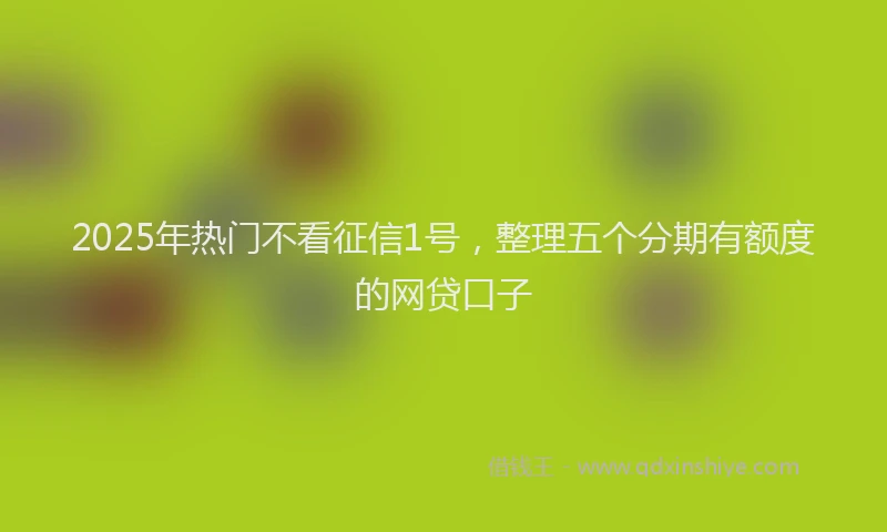 2025年热门不看征信1号，整理五个分期有额度的网贷口子