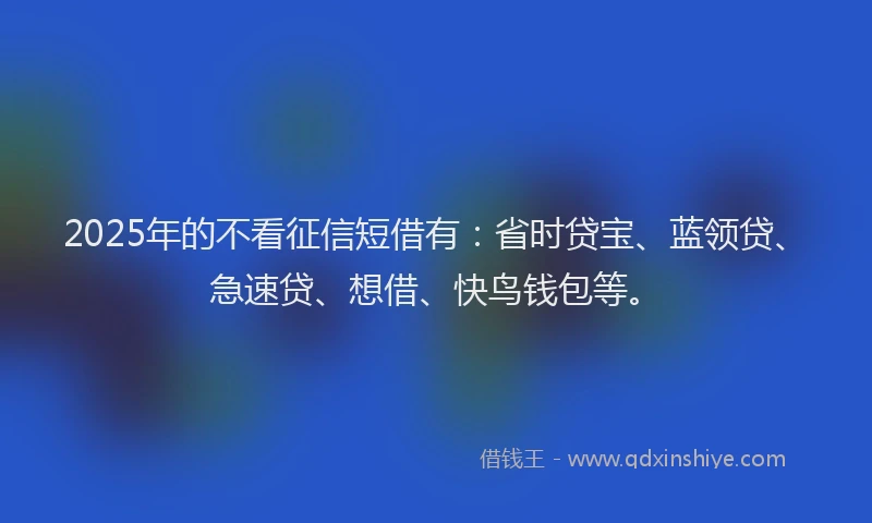 2025年的不看征信短借有：省时贷宝、蓝领贷、急速贷、想借、快鸟钱包等。
