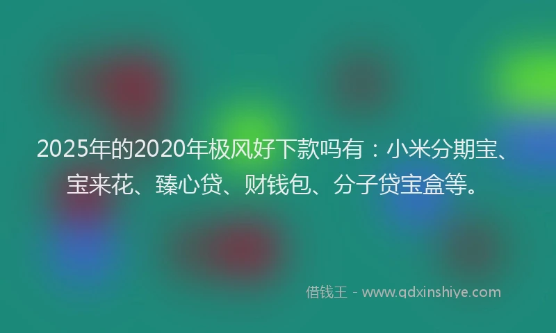 2025年的2020年极风好下款吗有：小米分期宝、宝来花、臻心贷、财钱包、分子贷宝盒等。