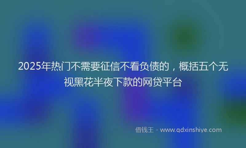 2025年热门不需要征信不看负债的，概括五个无视黑花半夜下款的网贷平台