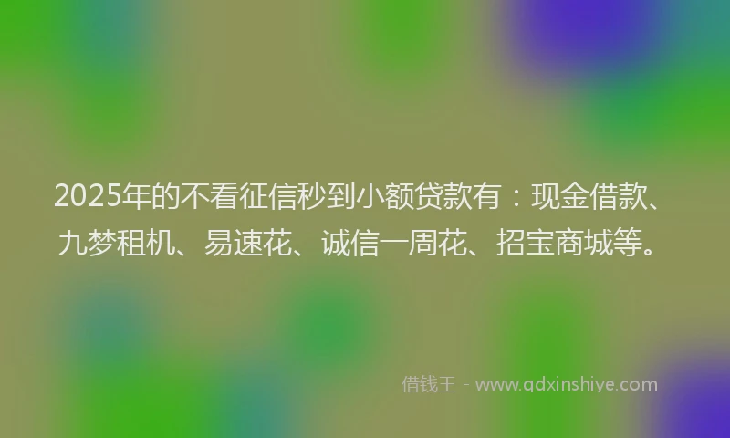 2025年的不看征信秒到小额贷款有：现金借款、九梦租机、易速花、诚信一周花、招宝商城等。