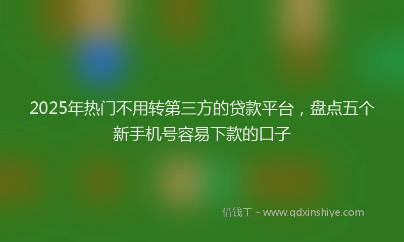 2025年热门不用转第三方的贷款平台，盘点五个新手机号容易下款的口子
