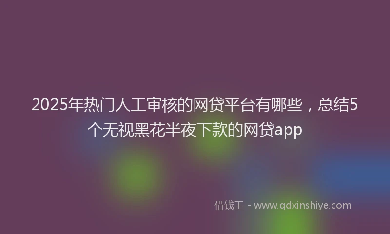 2025年热门人工审核的网贷平台有哪些，总结5个无视黑花半夜下款的网贷app