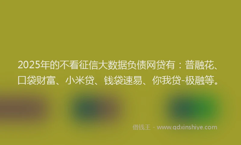 2025年的不看征信大数据负债网贷有：普融花、口袋财富、小米贷、钱袋速易、你我贷-极融等。