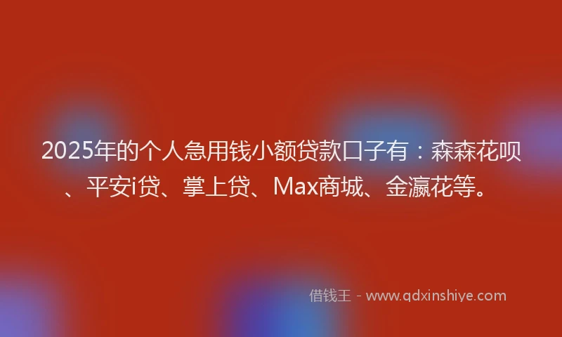 2025年的个人急用钱小额贷款口子有：森森花呗、平安i贷、掌上贷、Max商城、金瀛花等。
