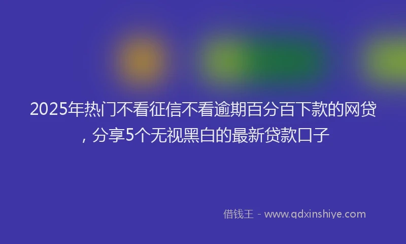 2025年热门不看征信不看逾期百分百下款的网贷，分享5个无视黑白的最新贷款口子
