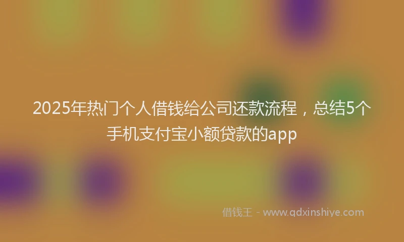 2025年热门个人借钱给公司还款流程，总结5个手机支付宝小额贷款的app