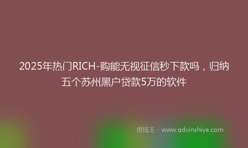 2025年热门RICH-购能无视征信秒下款吗，归纳五个苏州黑户贷款5万的软件
