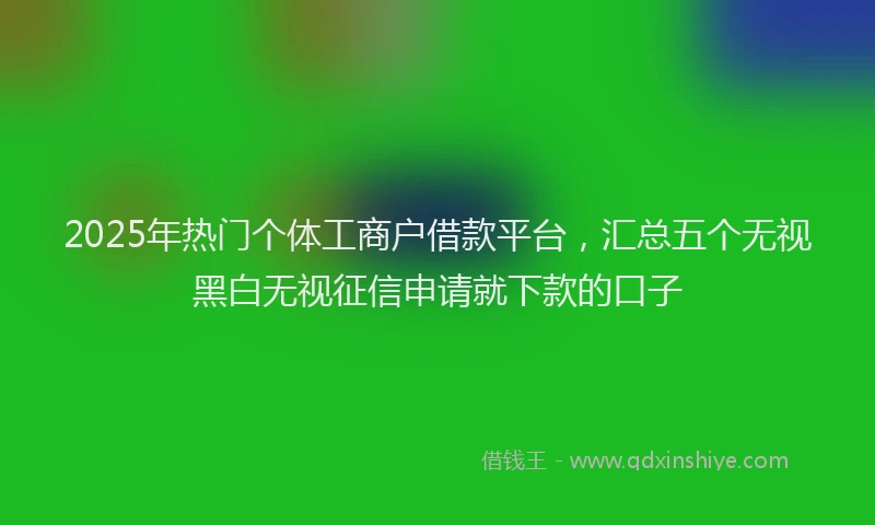 2025年热门个体工商户借款平台，汇总五个无视黑白无视征信申请就下款的口子