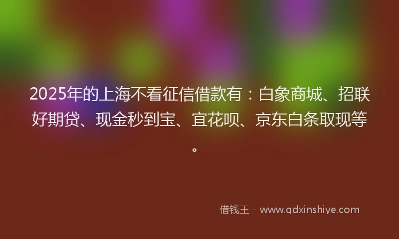 2025年的上海不看征信借款有：白象商城、招联好期贷、现金秒到宝、宜花呗、京东白条取现等。
