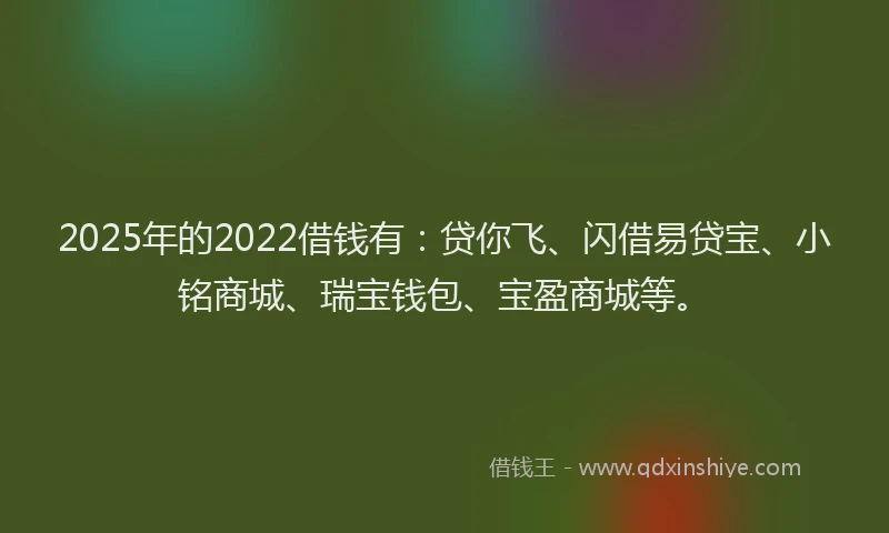 2025年的2022借钱有：贷你飞、闪借易贷宝、小铭商城、瑞宝钱包、宝盈商城等。