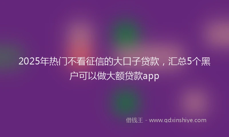 2025年热门不看征信的大口子贷款，汇总5个黑户可以做大额贷款app