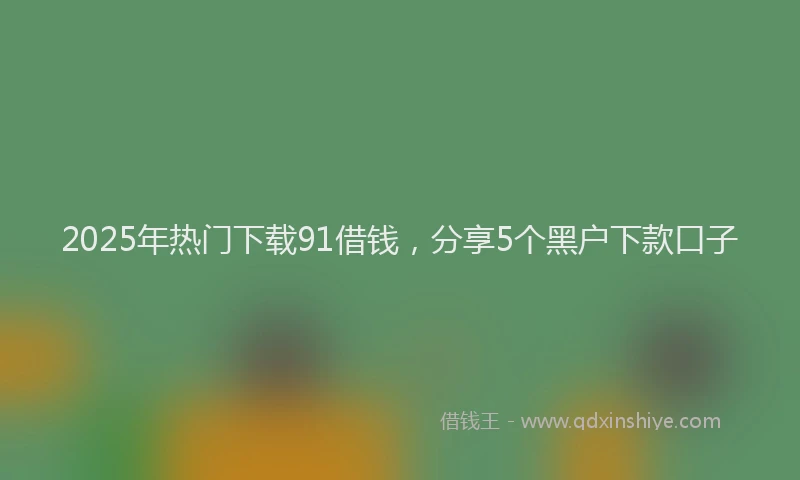 2025年热门下载91借钱，分享5个黑户下款口子
