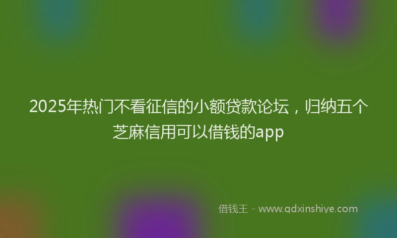 2025年热门不看征信的小额贷款论坛，归纳五个芝麻信用可以借钱的app