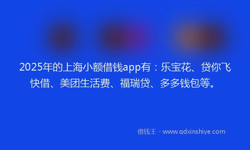 2025年的上海小额借钱app有：乐宝花、贷你飞快借、美团生活费、福瑞贷、多多钱包等。