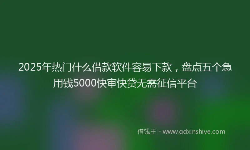 2025年热门什么借款软件容易下款，盘点五个急用钱5000快审快贷无需征信平台