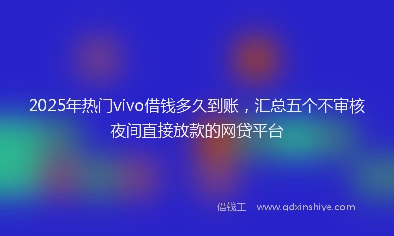 2025年热门vivo借钱多久到账，汇总五个不审核夜间直接放款的网贷平台