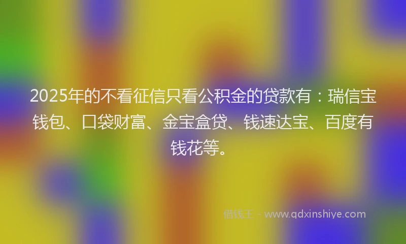 2025年的不看征信只看公积金的贷款有：瑞信宝钱包、口袋财富、金宝盒贷、钱速达宝、百度有钱花等。