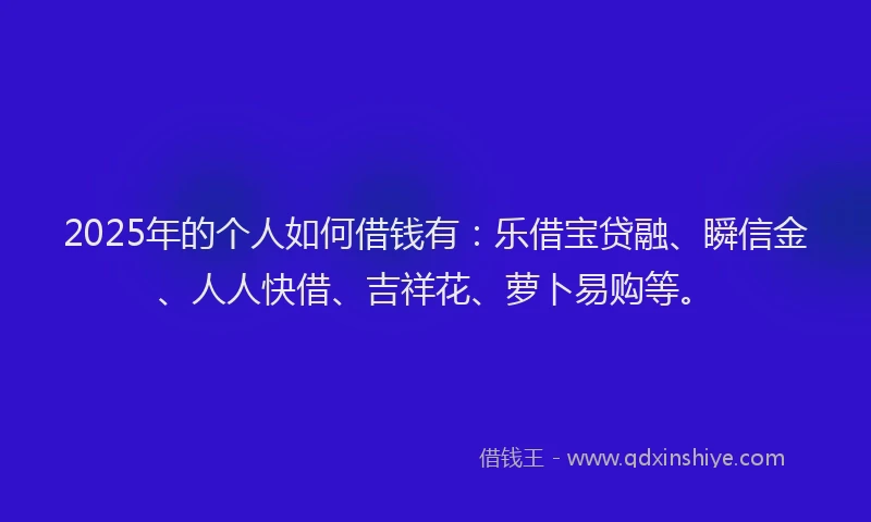 2025年的个人如何借钱有：乐借宝贷融、瞬信金、人人快借、吉祥花、萝卜易购等。